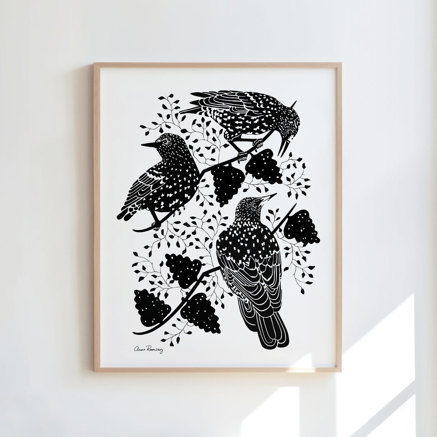 Starlings