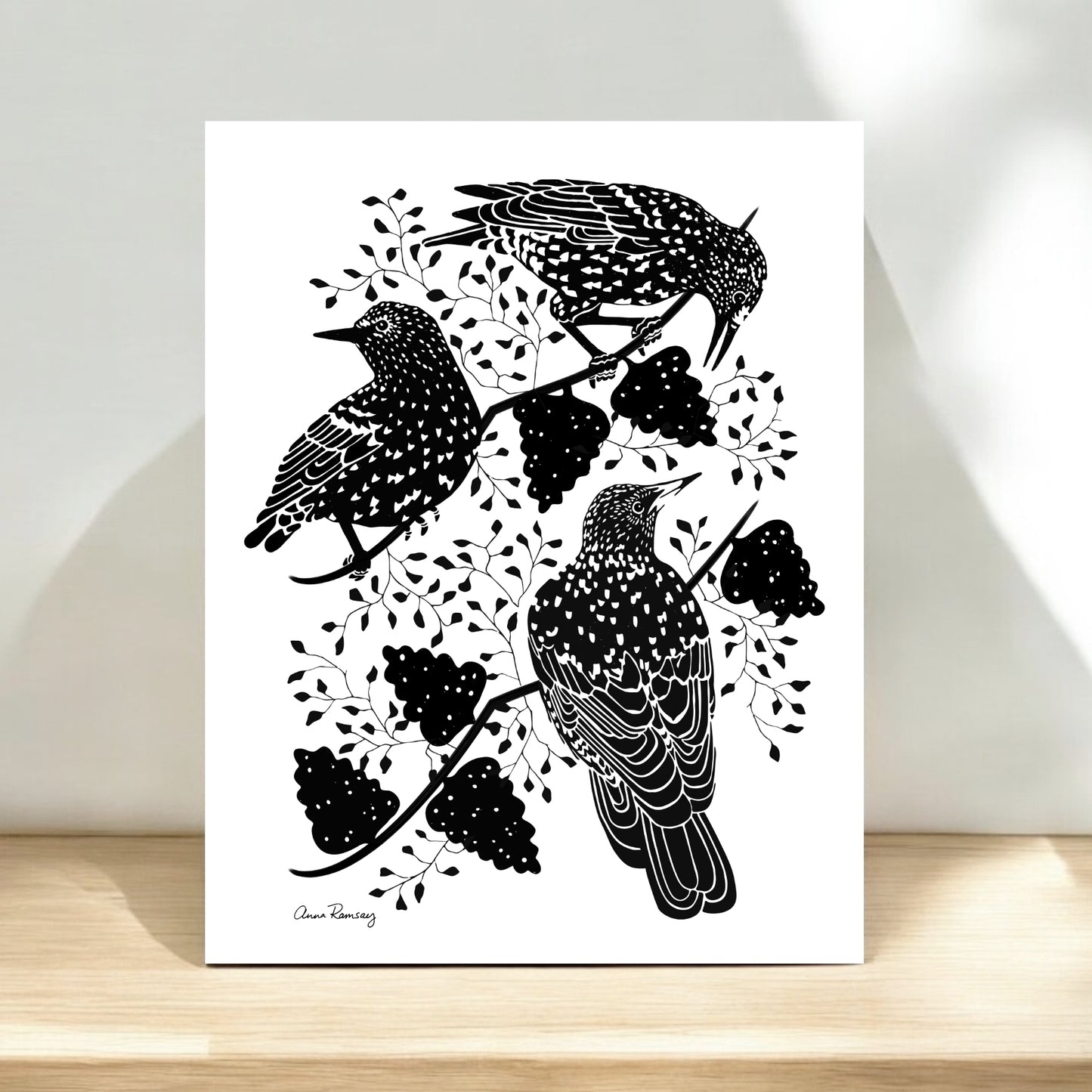 Starlings