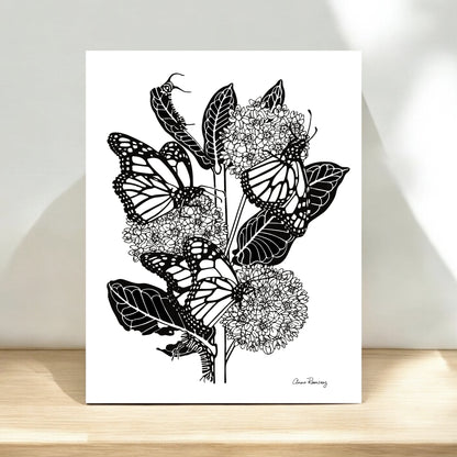 Milkweed & Monarch
