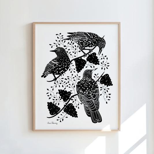 Starlings