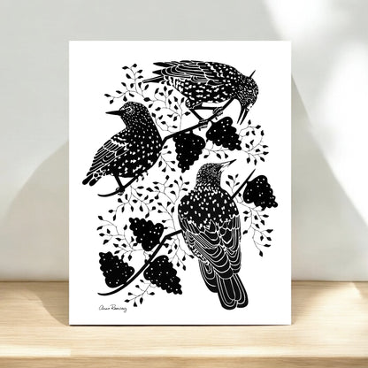 Starlings